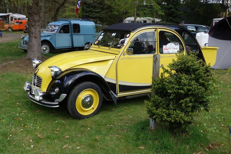 placeholder image-sq